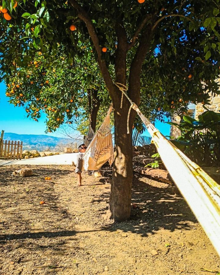 Verde Agua Agroturismo E Agricultura Biologica Couto المظهر الخارجي الصورة