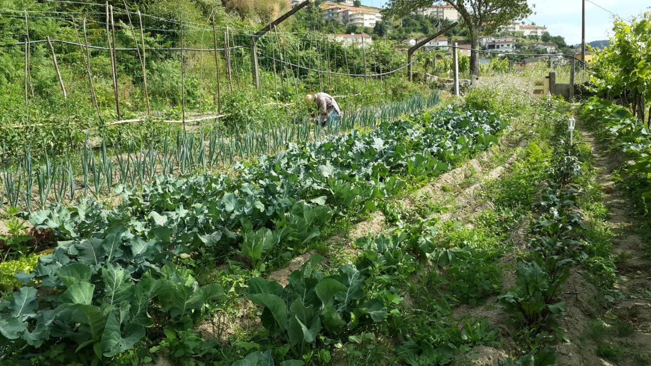 Verde Agua Agroturismo E Agricultura Biologica Couto المظهر الخارجي الصورة