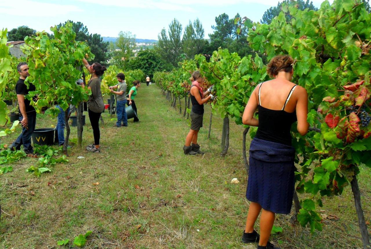 Verde Agua Agroturismo E Agricultura Biologica Couto المظهر الخارجي الصورة