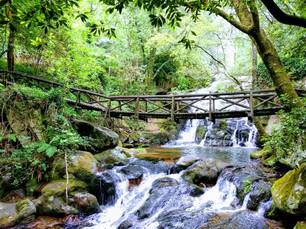 Verde Agua Agroturismo E Agricultura Biologica Couto المظهر الخارجي الصورة