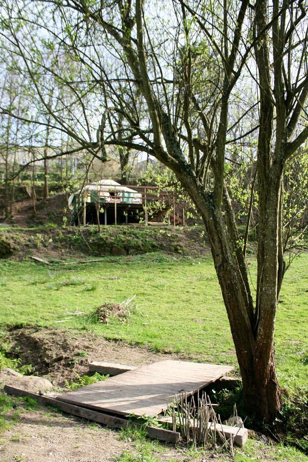 Verde Agua Agroturismo E Agricultura Biologica Couto المظهر الخارجي الصورة
